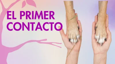 El Primer Contacto