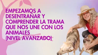 Nivel Avanzado- Empezamos a desentrañar y comprender la trama que nos une con los animales
