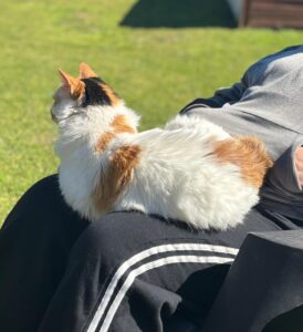 Titina sobre las piernas