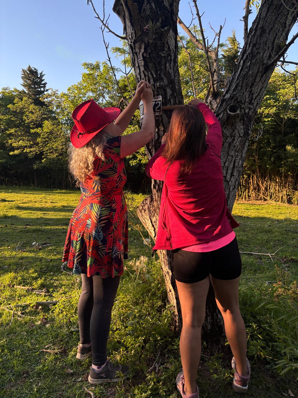 Vero y Marie arreglando el árbol